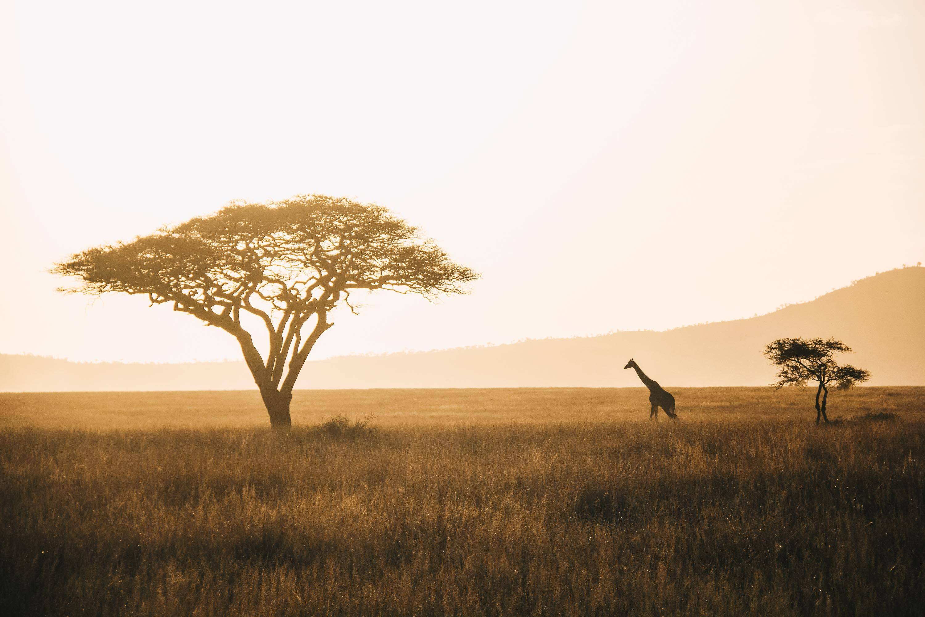 South_Africa_Country_Preview - CITYFRAMES