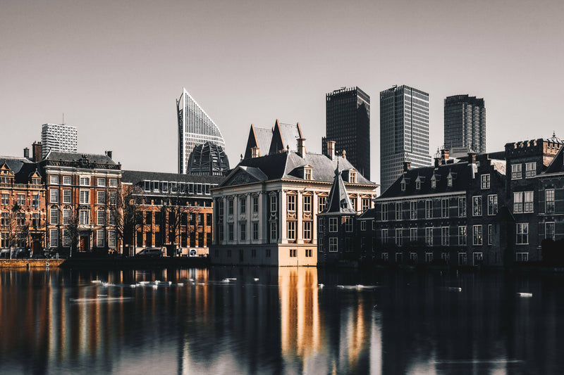 The Hague City Preview
