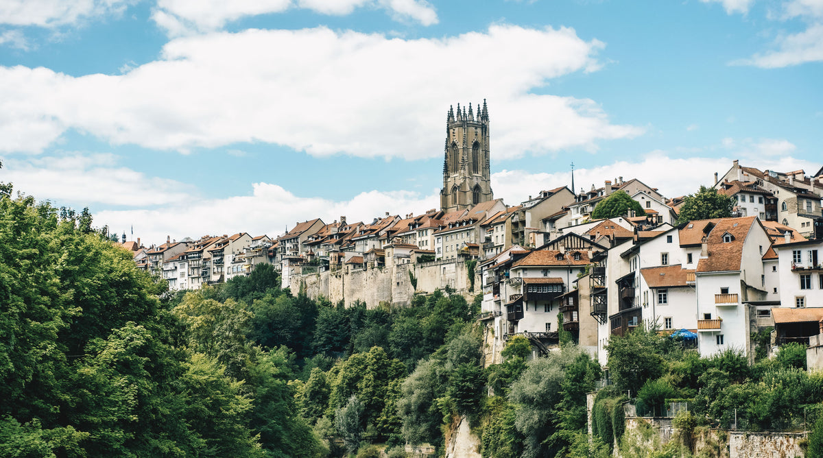Friburgo City Preview