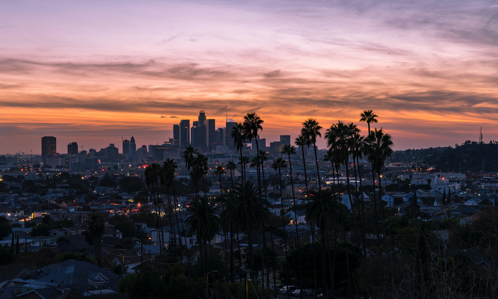 Los Angeles City Preview