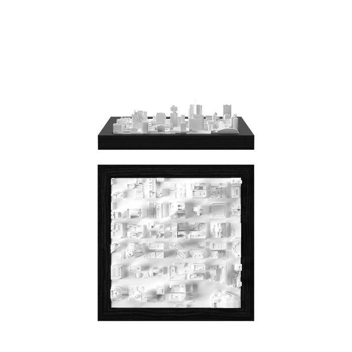 Phoenix CUBE