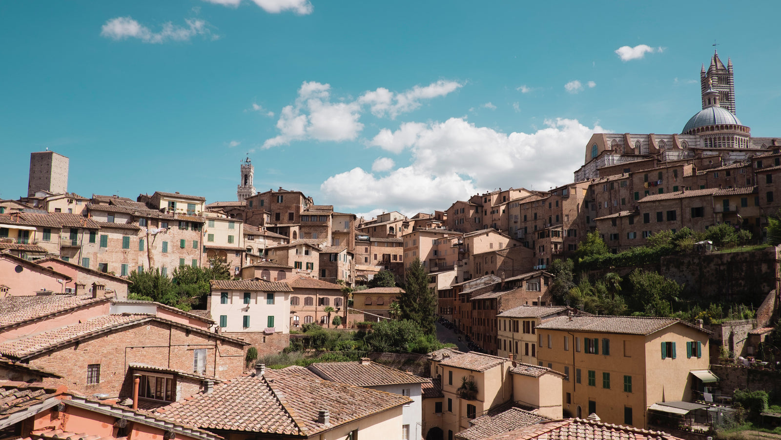 Siena City Preview