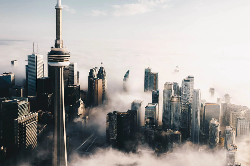 Toronto City Preview