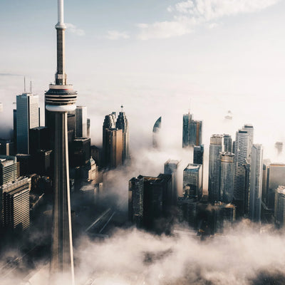 Toronto City Preview